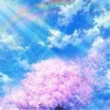 金刚苒花