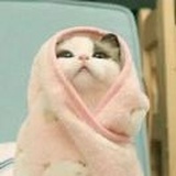经仍