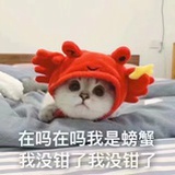你吃草莓吗