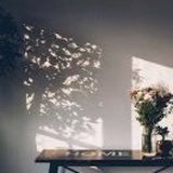 小苹果