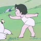 青桔