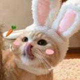 任秋水