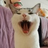 丨丨