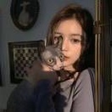 今天不吃了