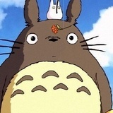 龙猫憨憨