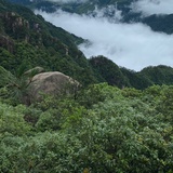 一笑随风