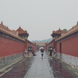 小废柴