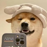 马嘉祺冲击北大