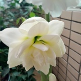 宝贝可爱ớ ₃ờ