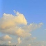 青柠