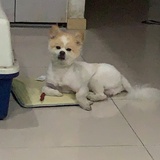豆友218572791