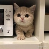 包青天来临