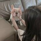 牛小牛  