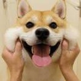 瑶瑶领先