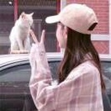 晚晴