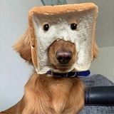 发发发