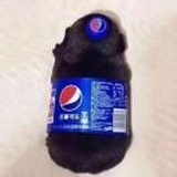 筱唯