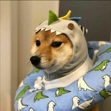 豆友218724810