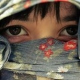 晴木子-«极品素