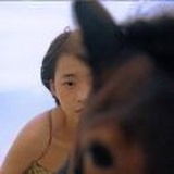 小马儿