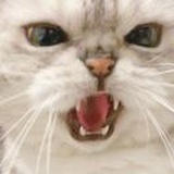 哈哈哈找不到我