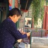 绿树