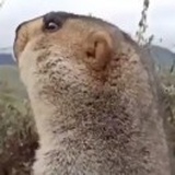 无锡法拍房