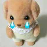 额