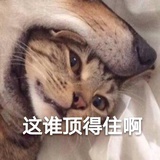 小盆友有问号
