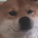 啊...这...