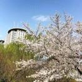 浅忠日月