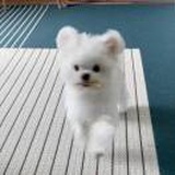 Taeyong