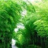 美梦成真