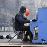 亚得里亚海之🐷