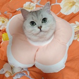 桃矢