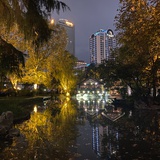 豆友218906916