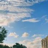 往事随风