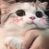 呦呦鹿鸣