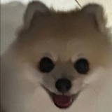 uni黑化版