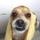 萨翔的打饭阿姨