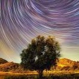 星夜獨行