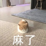 山河