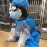 单排JR侠