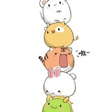 布狸不泣