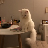 努力过好生活