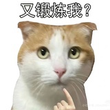 总是运气守恒