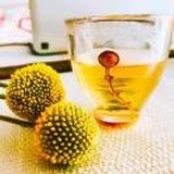 陈