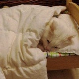 谁家玉笛听落梅2