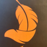 迷茫而沉溺