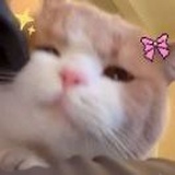xuhui